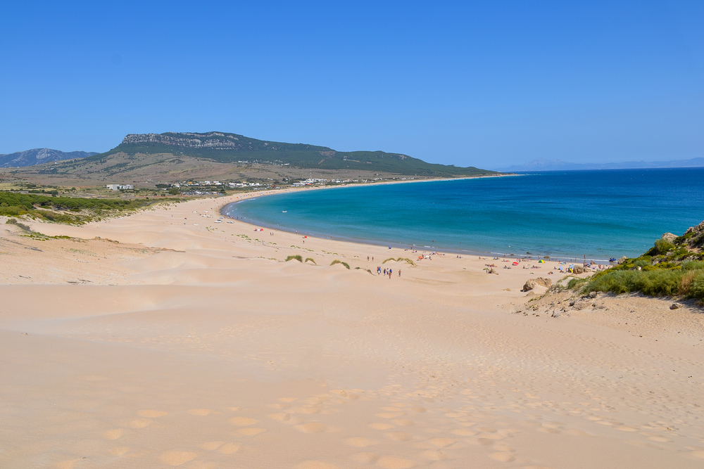 summer yoga Bolonia